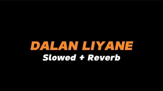 dalan liyane slowed reverb full lirik 