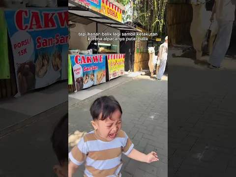 HANAN HISTERIS DIKEJAR ALPACA #shortvideo #funnyvideo #minivlog #adayinmylife #couple #comedy #viral
