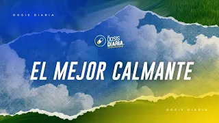 Dosis Diaria Roka - El mejor calmante