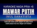 Mawar Putih - Inul Daratista (Karaoke Nada Pria)