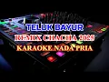 Download Lagu Teluk Bayur Remix Chacha Karaoke Lirik Nada Rendah Pria Ernie Djohan