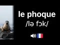 How to pronounce le phoque CORRECTLY