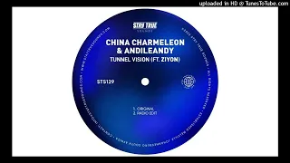 china charmeleon u0026 andileandy ft ziyon tunnel vision