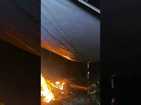 🌧️ Camping in the Rain with My Dog 🐕🌲