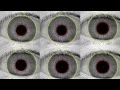 Iris Recognition Gives Smartphone Users More Security Options Says Clarkson University Prof