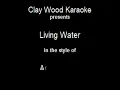 Anne Wilson  - Living Water - clay wood karaoke