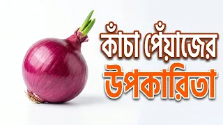 পেঁয়াজ আমাদের শরীরে যে  ৩০টি বিশেষ  উপকার করে // BEST HEALTH  BENEFITS  OF ONION @sanjoyfitcoach_