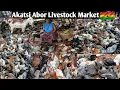 Download Lagu Rural African Village Market Day In Ghana Akatsi Abor#africa#villagemarket#rural#goats#goat #sheep