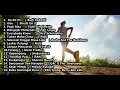 Video musik ceria