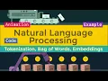 Your Starting Point in Natural Language Processing NLP Tokenization Bag of Words Embeddings