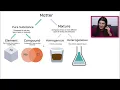 Classifying Matter With Practice Problems Study Chemistry With Us