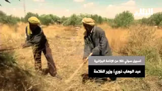 وزارة الفلاحة    قروض بدون فوائد لصالح الفلاحين              دندنها
