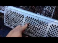 Amerimax 85470 Gutter Guard - 4 years after installation