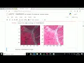 Basic Image Processing and Classification System by Shri Ravi Bhandari