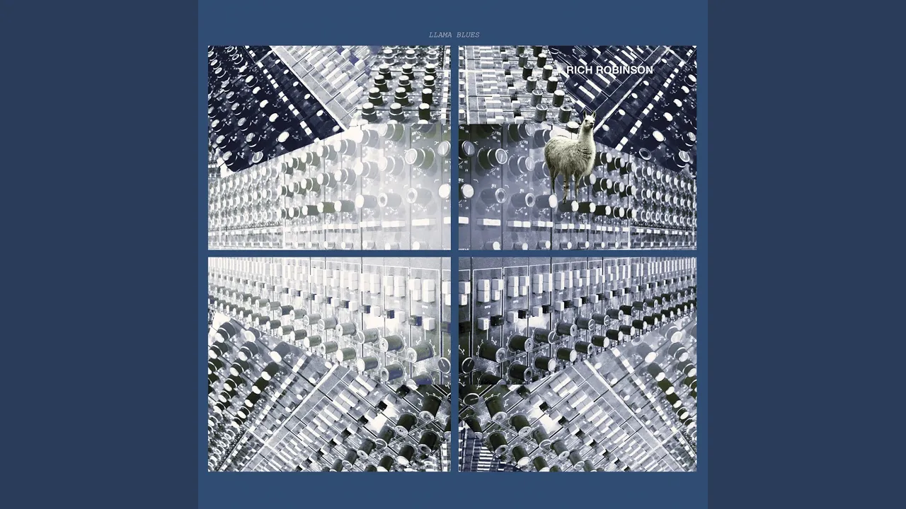 Look Through My Window