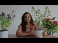 Low-Maintenance Monsoon Flowers for Balcony Garden 🌺 | Must Have Flowering Plants #monsoonflowers