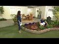 Barbara King Faux Boxwood Topiary Sphere on QVC