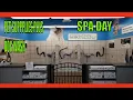 PET SUPPLIES PLUS DOG WASH PET SUPPLIES PLUS