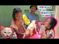 Download Lagu PERTAMA KALI KIMO DI MANDIIN, KUCING GANTENG NYA LEIKA!