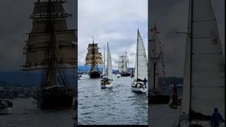 Australian Wooden Boat Festival Hobart 2023