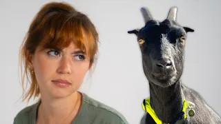 Taking My Goat On A Hike And Hoping She Doesn T Headbutt Children Again 