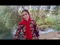 Soheila's marriage proposal to the operator and the gift to the operator surprised the world.