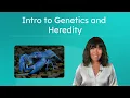 Intro to Genetics and Heredity - ing Traits and Inheritance