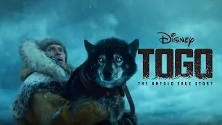 Togo 2019 | True Dog Story | Togo Fully Explained in Hindi & Urdu