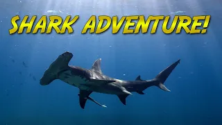 Brave Wilderness Shark Expedition! | BLUE WORLD DOCUMENTARY