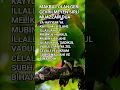 Download Lagu ACİL DİLEĞİ İHTİYACI İSTEĞİ SIKINTISI OLANLAR OKUSUN 🤍#islamicvideo