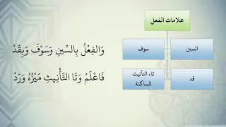 شرح نظم الآجرومية مع التشجير 11 الشيخ محمد محمود الشنقيطي 