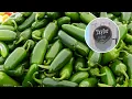 FDA inspecting Taylor Farms facilities in Mexico amid cyclosporiasis outbreak