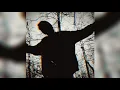 Download Lagu N.E.T - Silicone Soul (Full Album)