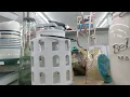 DOLLAR GENERAL CHRISTMAS ORNAMENTS and SHOP WITH ME COLLAB