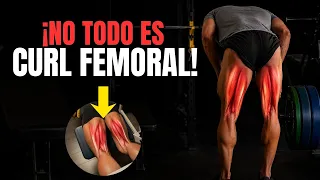 5 cosas que debes saber para desarrollar tus femorales