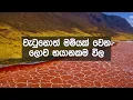 Download Lagu මේ ලෝකයේ තියන භයානකම ස්වභාවික ස්ථාන ඔයා කවදාවත් දැකලා නෑ Abirahas Gaweshanaya