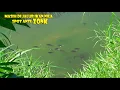 Download Lagu Asal Kuat Mancing Di Sini,Di Jamin Banyak Dapet Ikan nya