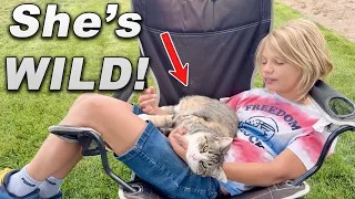 We Have ANOTHER Cat…..WITH Hair!