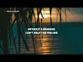 R3HAB, Curley G (希林娜依高), Crazy Donkey - Are You Happy Now (Lyrics)