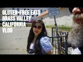 Gluten Free Eats in Grass Valley CA - Corvis Bakery South Pine Cafe