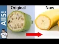 5 Foods Genetically Modified Beyond Recognition
