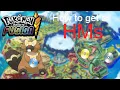 How to get all HMs Pokemon infinite fusion