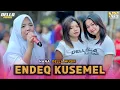 Download Lagu ENDEQ KUSEMEL LAGU SASAK LOMBOK NANA NUTRIISARI DELLA MUSIK TERBARU