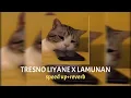 Download Lagu TRESNO LIYANE X LAMUNAN    (speed up+reverb)