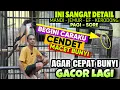 Download Lagu INI SANGAT DETAIL ⁉️ BEGINI, CARA MERAWAT CENDET MACET BUNYI AGAR BUNYI GACOR LAGI