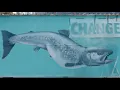 Download Lagu Revo Foods “Resurrects” Gigantic Salmon on the Streets of Vienna