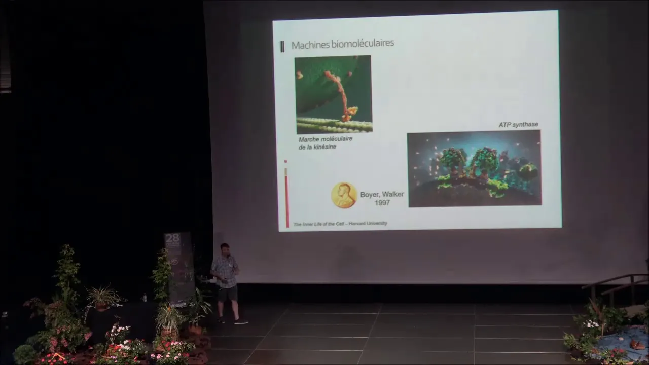 Machines moléculaires et mouvements a l’échelle du nanomètre