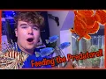 Download Lagu Feeding My Saltwater Predator Fish!!!