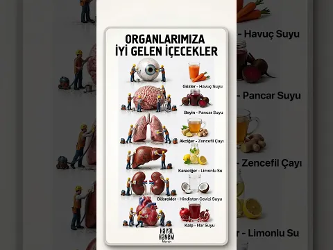 Organlarımıza İyi Gelen İçecekler