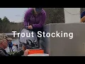 Trout Stocking in Massachusetts - April 2024